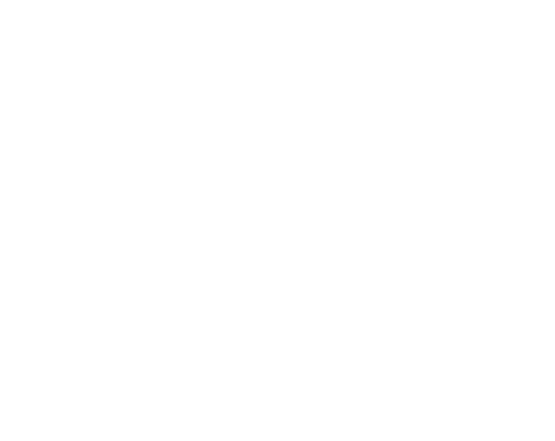 Strong Island Building Services